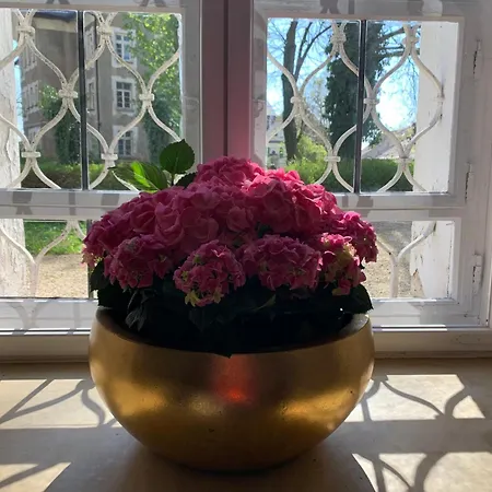 Napoleonsuite Auf Schloss Huerbel דירה Gutenzell-Hürbel