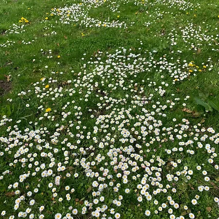 Napoleonsuite Auf Schloss Huerbel *